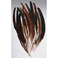FEATHERS ROOSTER TAIL Natural 14"-16"